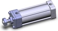 NCDA1KB250-0500-X119US