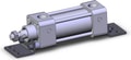NCDA1L150-0150