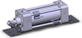 NCDA1L200-0300-M9PAL
