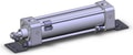 NCDA1L200-0600-M9PVZ