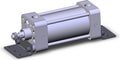 NCDA1L250-0300