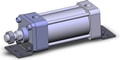 NCDA1L250-0300N-XB5