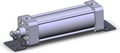 NCDA1L250-0600N