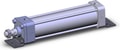 NCDA1L250-0800-XB5