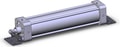 NCDA1L250-1000