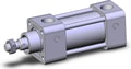 NCDA1R150-0100