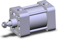 NCDA1R250-0100N