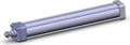 NCDA1R250-1800N-XB5