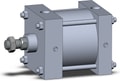 NCDA1R600-0250