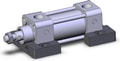 NCDA1S150-0100