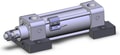 NCDA1S150-0250-M9PMDPCS