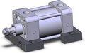 NCDA1S250-0100