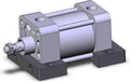 NCDA1S250-0100N