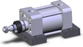 NCDA1S250-0100NJ