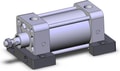 NCDA1S250-0200-XC6