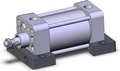 NCDA1S250-0200N