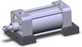 NCDA1S250-0250