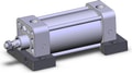 NCDA1S250-0300-XC22