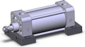 NCDA1S250-0300