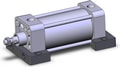 NCDA1S250-0300N
