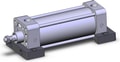 NCDA1S250-0450