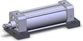 NCDA1S250-0500H