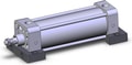 NCDA1S250-0550