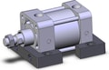 NCDA1S325-0100