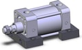 NCDA1S325-0200