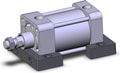 NCDA1S325-0200N