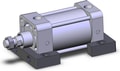 NCDA1S325-0250