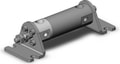 NCDGLN20-0050