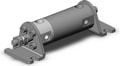 NCDGLN25-0050