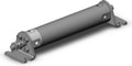 NCDGLN25-0350