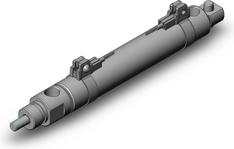 SMC NCDMC075-0300C-M9PWSAPC