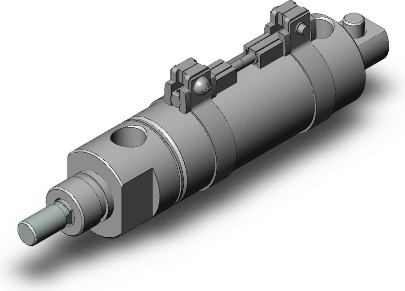 SMC NCDMC106-0100-M9PWZ