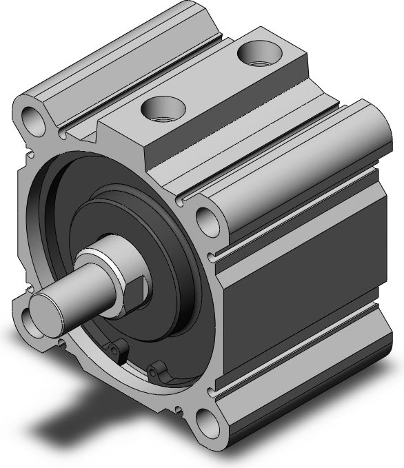 SMC NCDQ2A100-25DCMZ