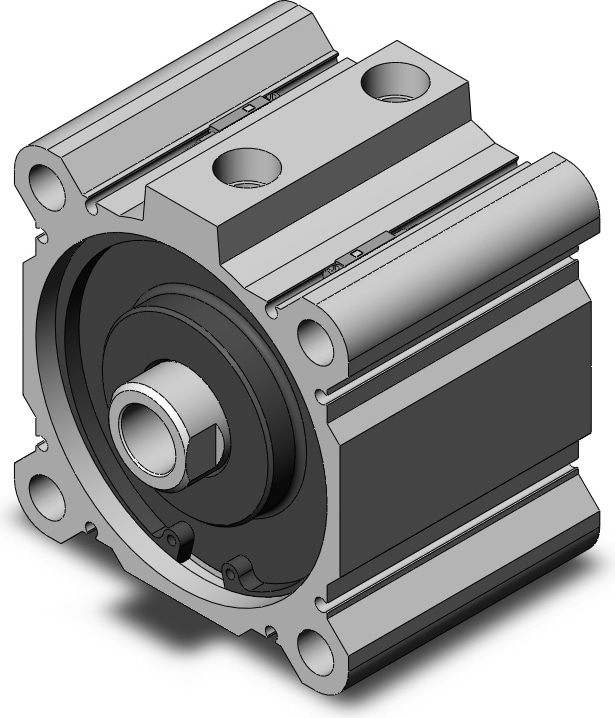 SMC NCDQ2A100-25DZ-A93L