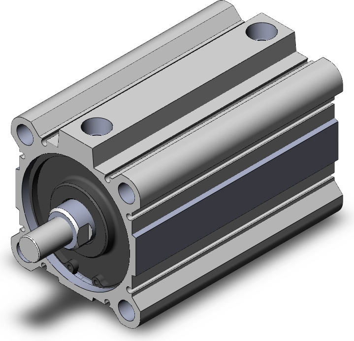 SMC NCDQ2A80-100DCMZ