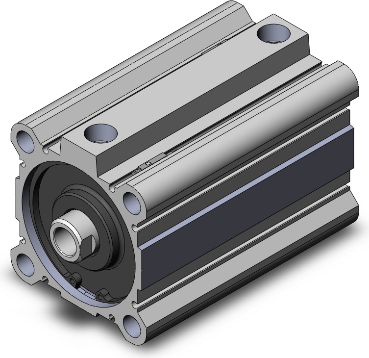 SMC NCDQ2A80-100DZ-A93L