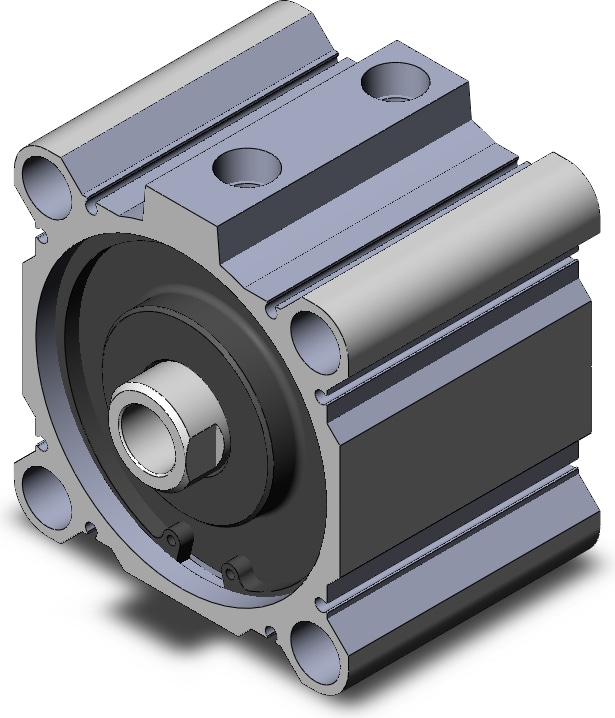 SMC NCDQ2B100-25DCZ