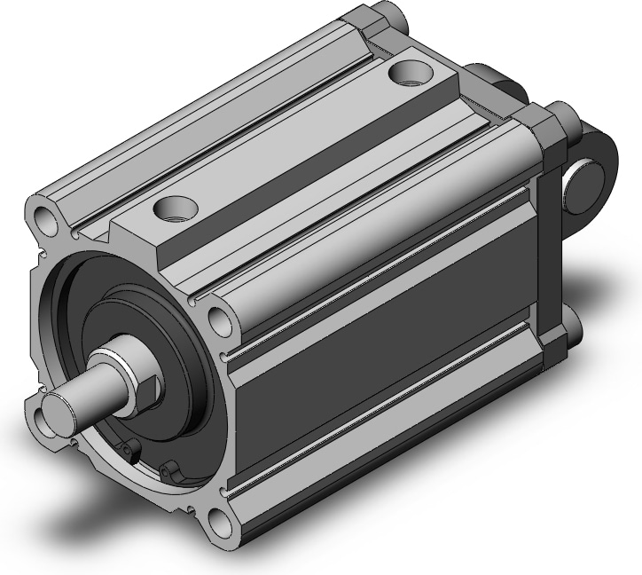 SMC NCDQ2D100-100DMZ