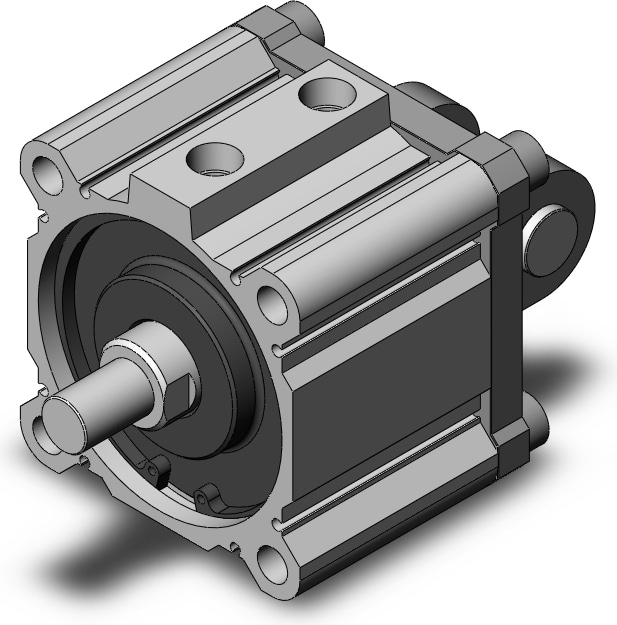 SMC NCDQ2D100-20DMZ
