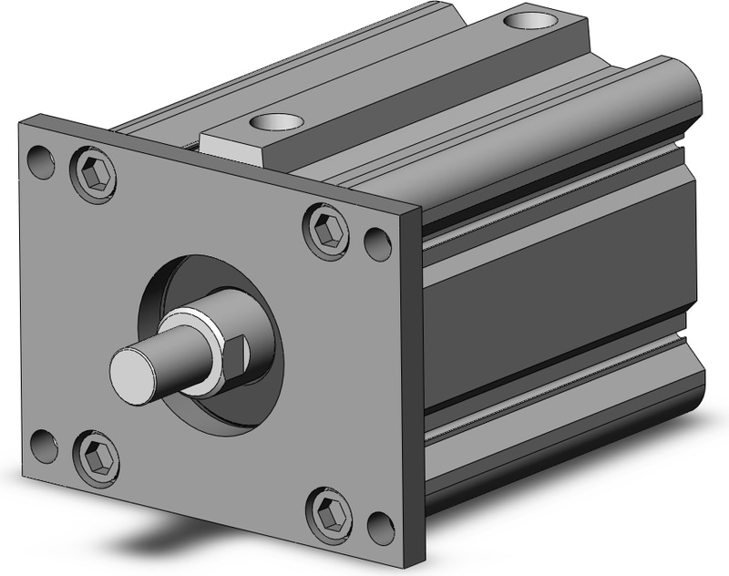 SMC NCDQ2F100-100DMZ-XC6