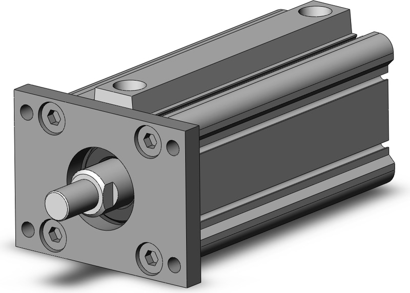 SMC NCDQ2F50-100DMZ-XC6