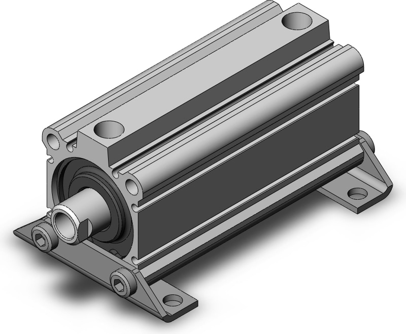 SMC NCDQ2L50-100DZ