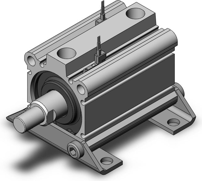 SMC NCDQ2L50-50DMZ-M9PWVSAPC