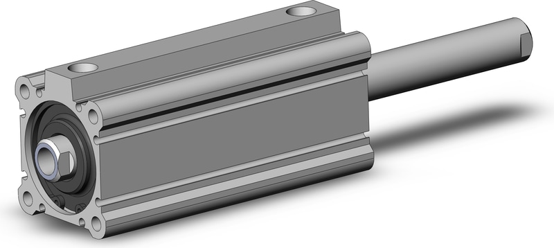 SMC NCDQ2WA50-100DCZ