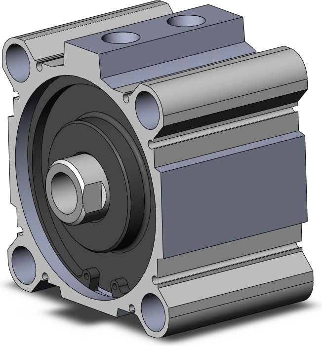 SMC NCDQ2WB100-10DCZ