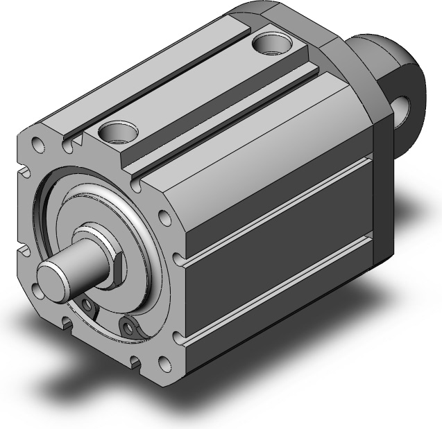 SMC NCDQ8C200-100M